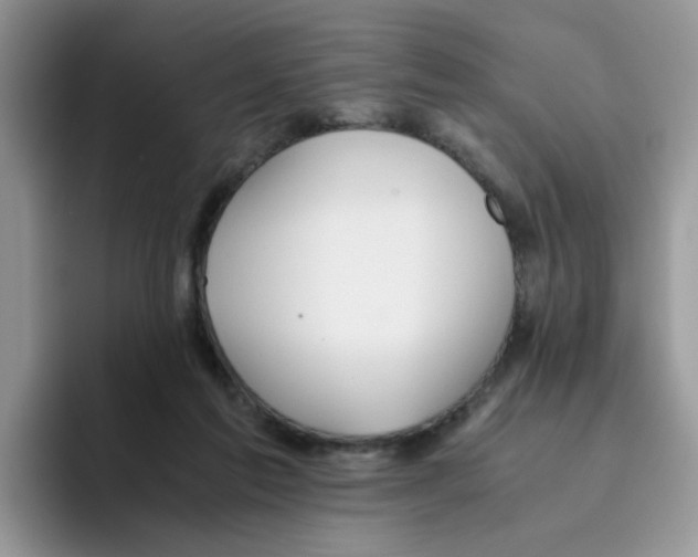 X0000093490213200711091650