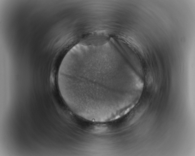 X0000093490214200711091650