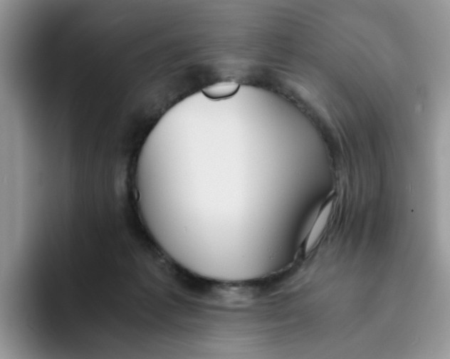 X0000093490221200711091650