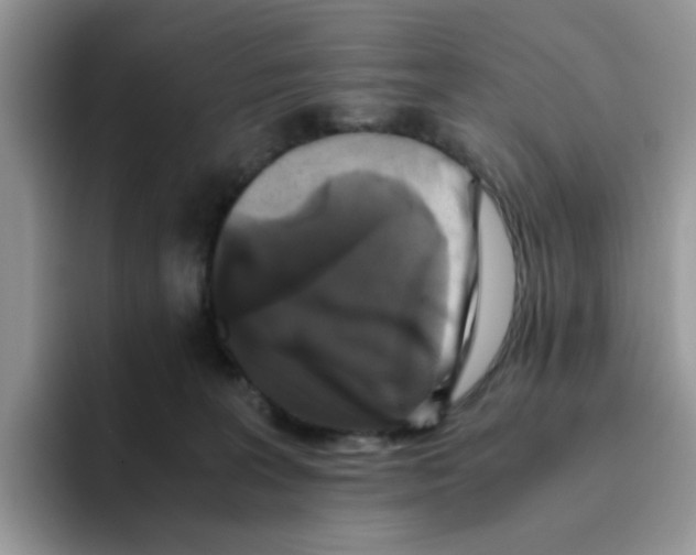 X0000093490227200711091650