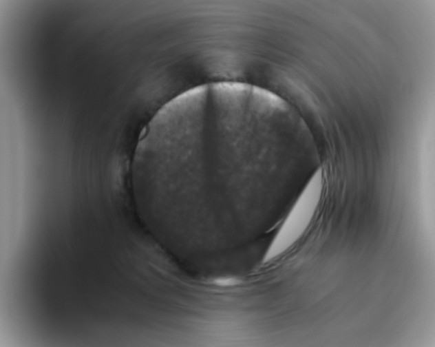 X0000093490229200711091650