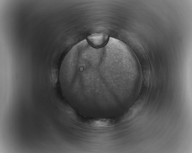 X0000093490232200711091650