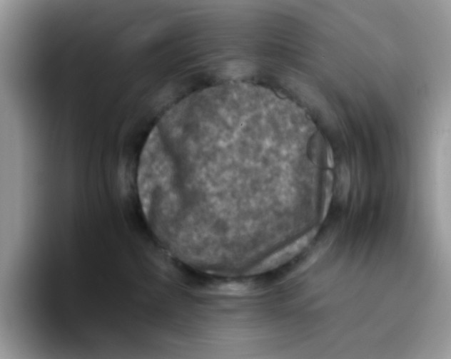 X0000093490236200711091650