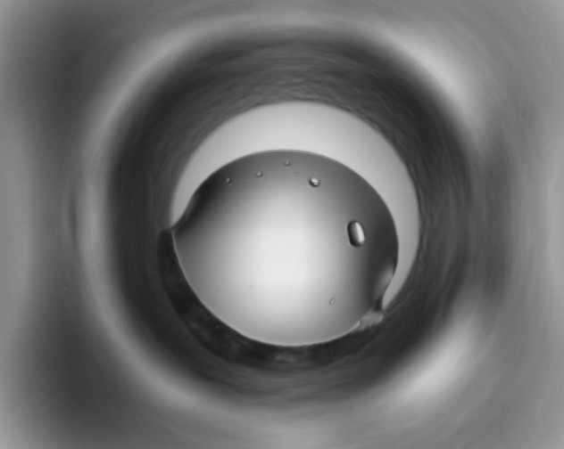 X0000093490239200711091650