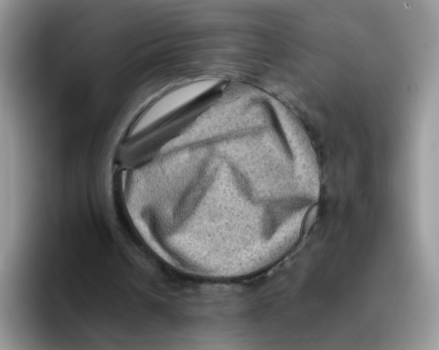 X0000093490242200711091650