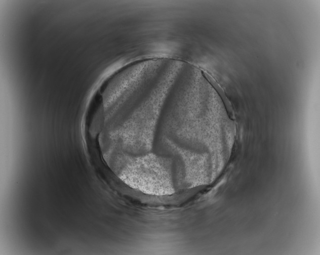 X0000093490244200711091650