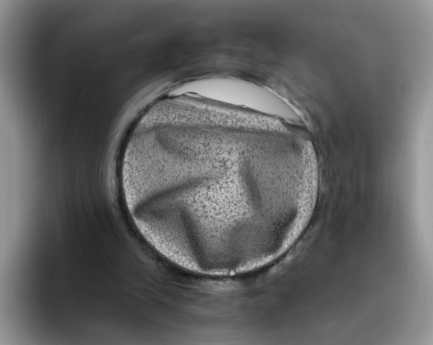 X0000093490245200711091650