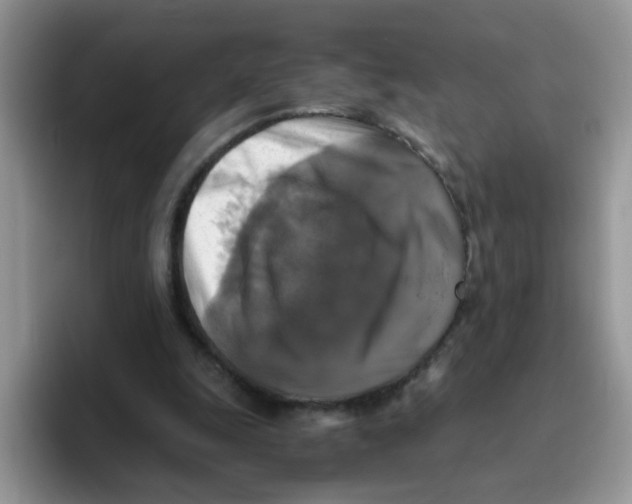 X0000093490247200711091650