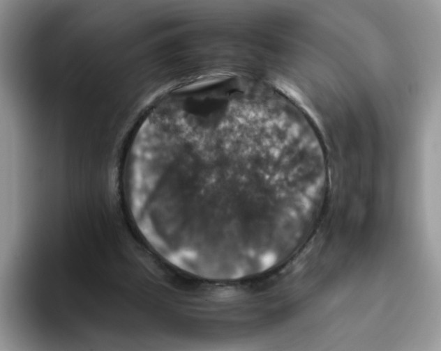 X0000093490249200711091650