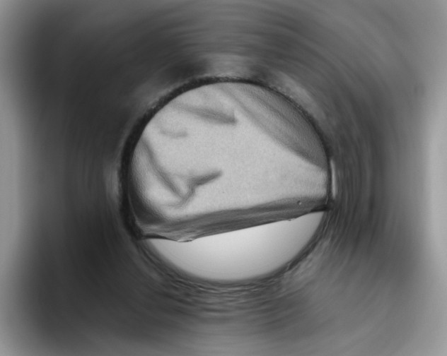 X0000093490252200711091650