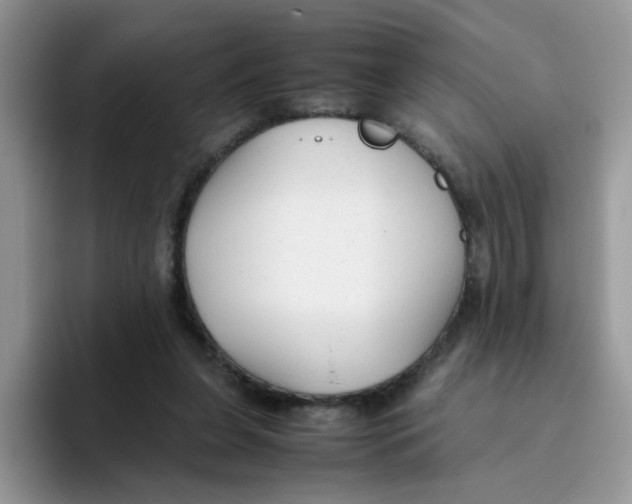 X0000093490255200711091650