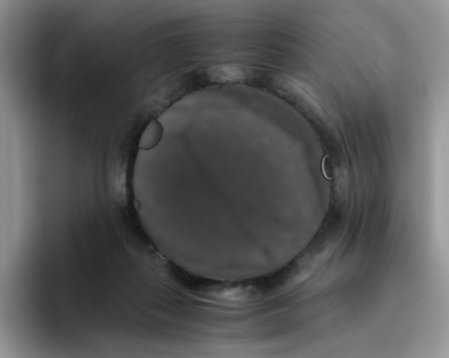 X0000093490267200711091650