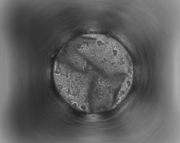 X0000093490269200711091650