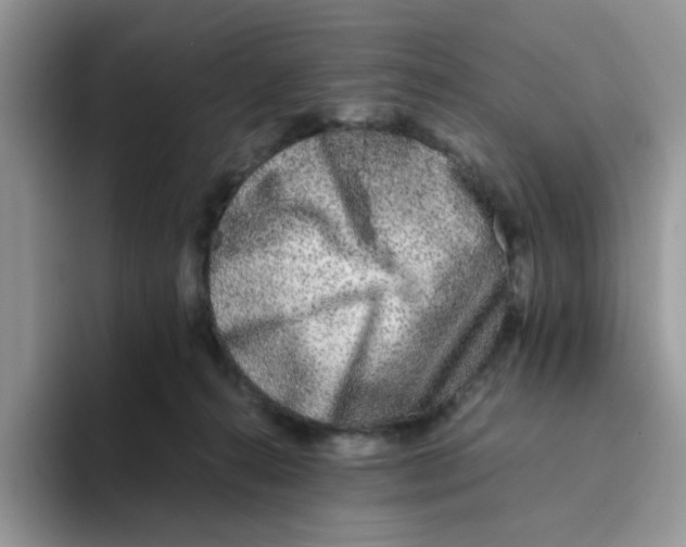 X0000093490272200711091650