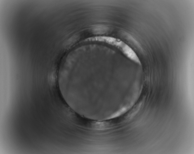 X0000093490277200711091650