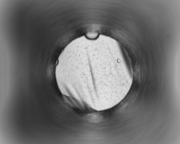 X0000093490280200711091650