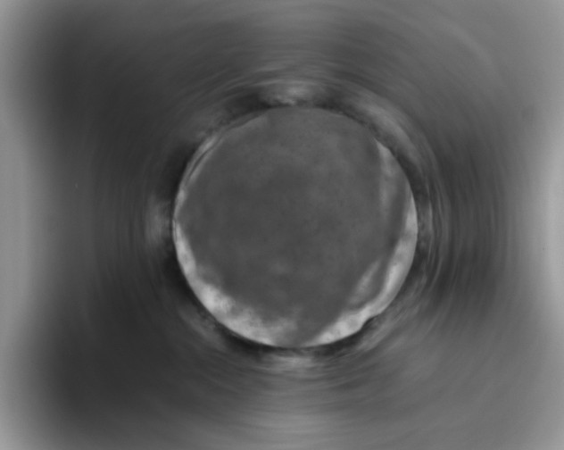 X0000093490284200711091650