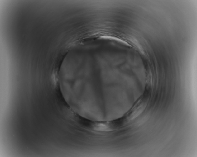 X0000093490285200711091650