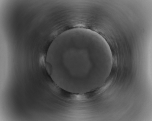 X0000093490286200711091650