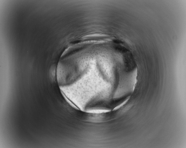 X0000093490288200711091650