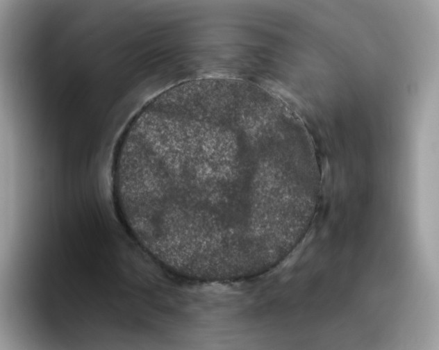 X0000093490290200711091650