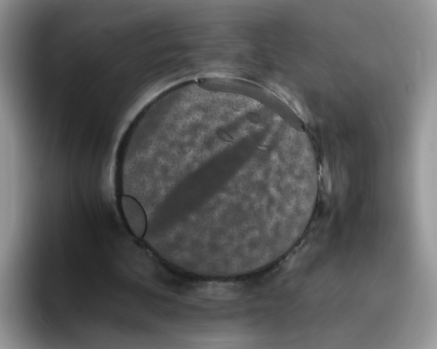 X0000093490292200711091650