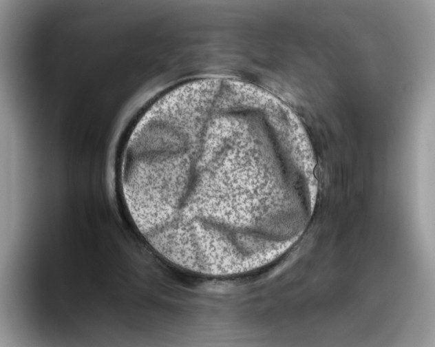 X0000093490294200711091650