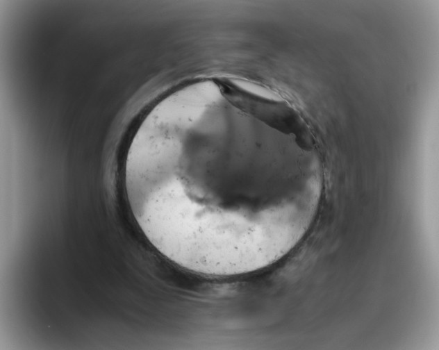 X0000093490295200711091649