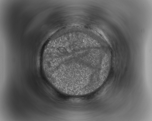 X0000093490299200711091649