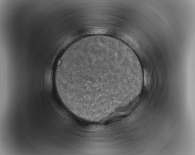 X0000093490300200711091649