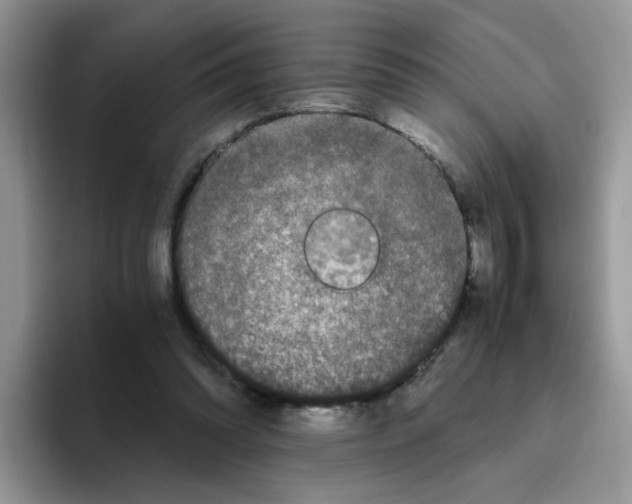 X0000093490302200711091649