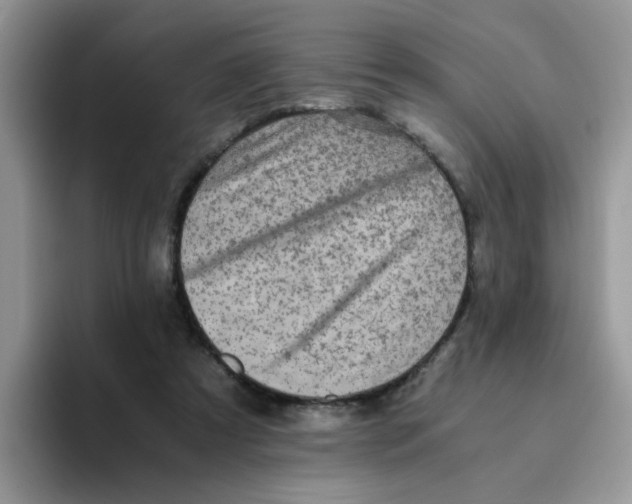 X0000093490305200711091649