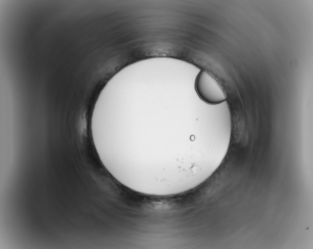 X0000093490310200711091649