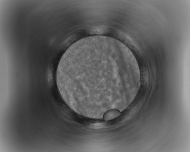 X0000093490312200711091649