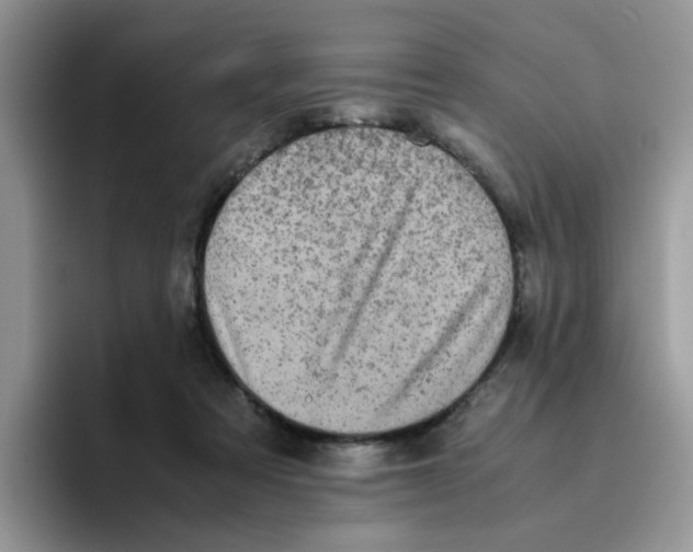 X0000093490313200711091649