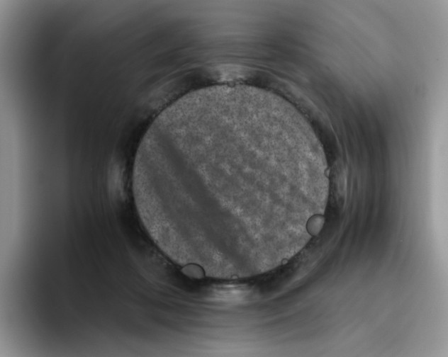 X0000093490316200711091649