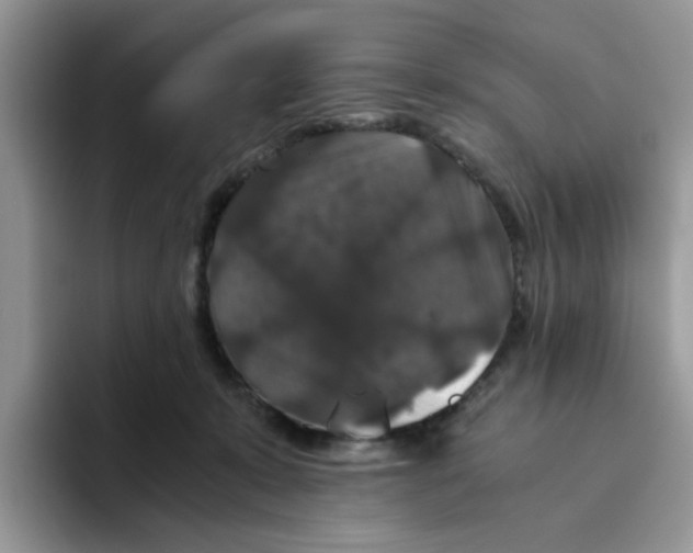 X0000093490319200711091649