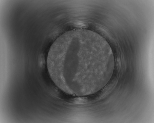 X0000093490320200711091649