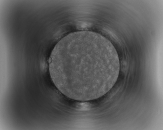 X0000093490324200711091649