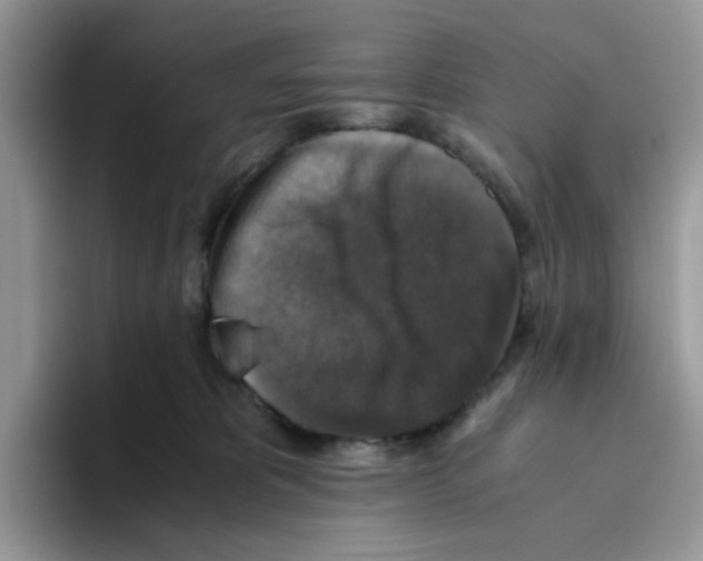 X0000093490325200711091649