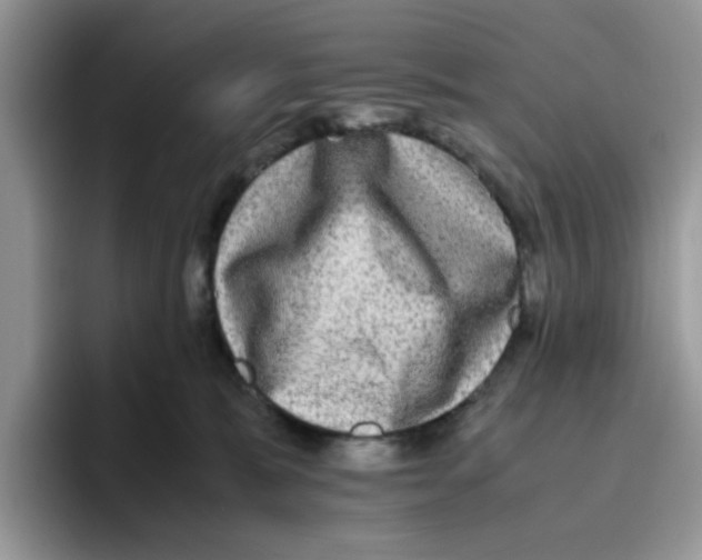 X0000093490327200711091649