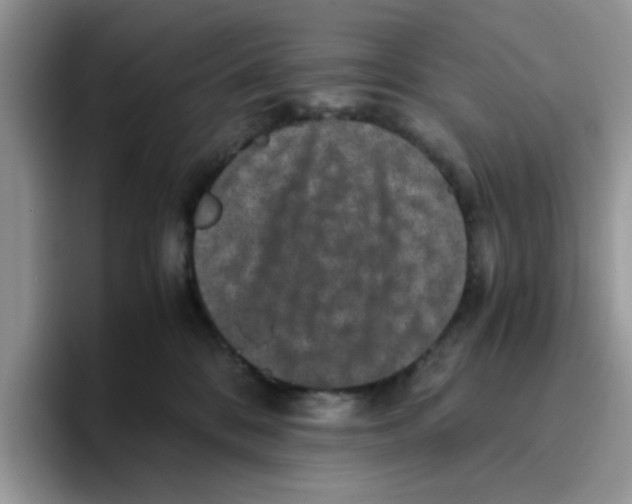 X0000093490328200711091649