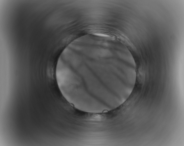 X0000093490330200711091649