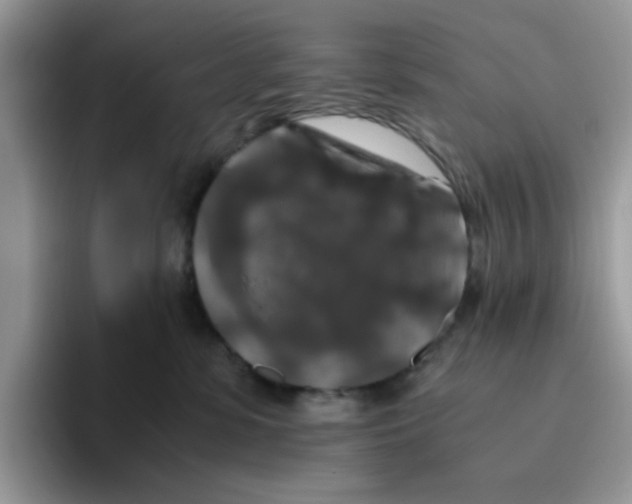 X0000093490331200711091649