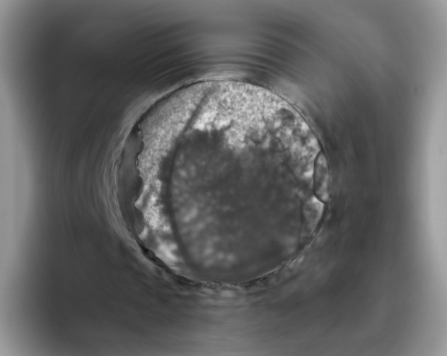 X0000093490337200711091648