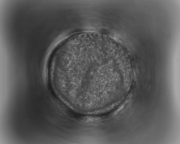 X0000093490343200711091649