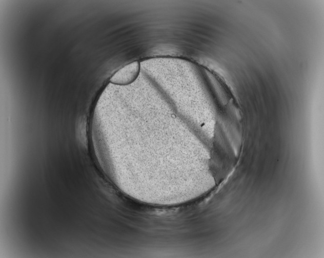 X0000093490345200711091649