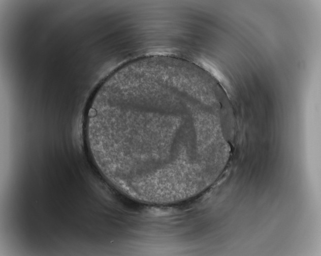 X0000093490346200711091649