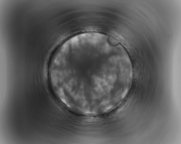 X0000093490347200711091649