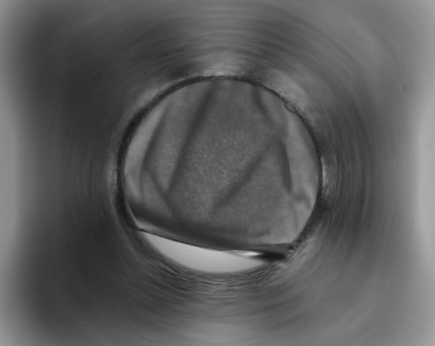 X0000093490348200711091649